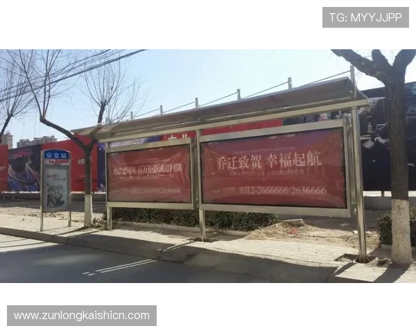 尊龙体育app下载安全稳定，保障用户的资金安全与个人信息隐私